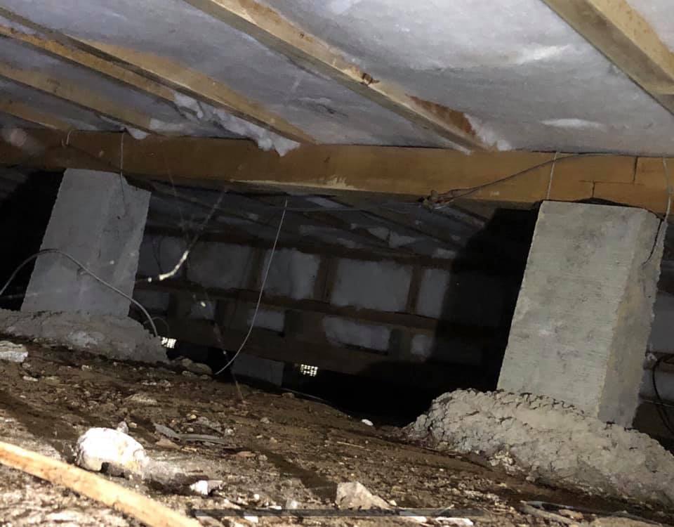 Bare, damp subfloor ground before treatment