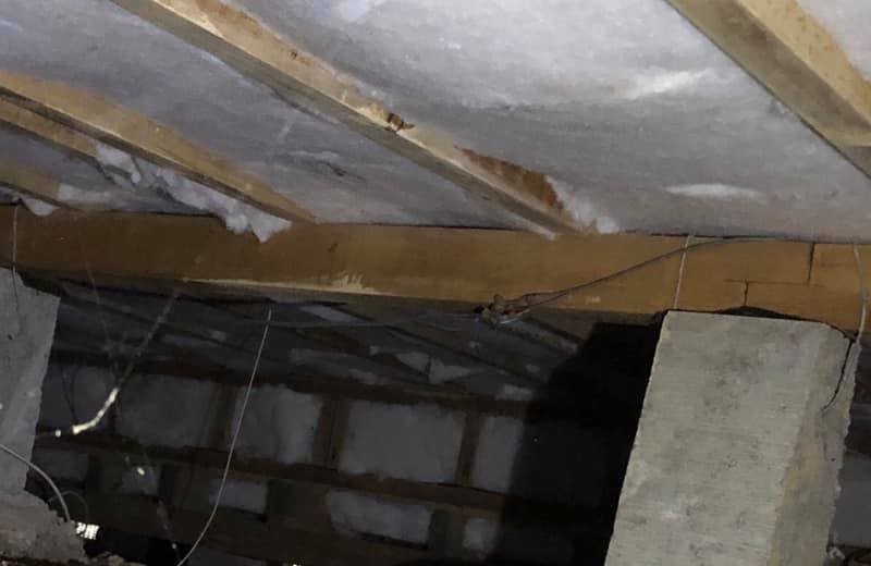 Underfloor work in a Wellington region home